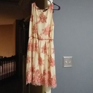 Max edition medium lace dress